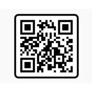Pemari Vn Code Templates