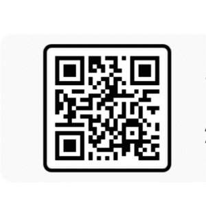 Rakshabandhan VN Code Template