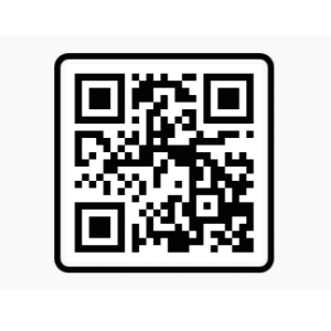chhath puja vn code2025